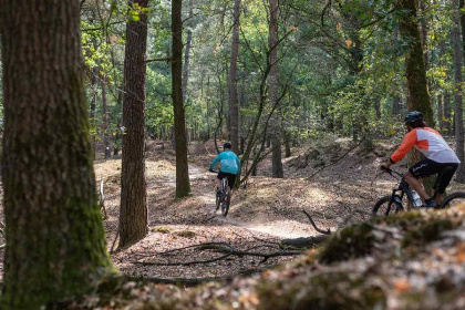 021 Comfortabel vakantiehuis voor 6 personen in de bosrijke natuur van Diever