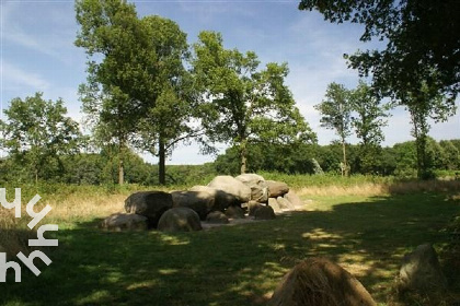 037 Schitterend 12 persoons vakantiehuis in Diever