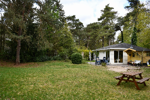 Mooi 4 persoons chalet met grote tuin op bosrijk vakantiepark in het Drents Friese Wold