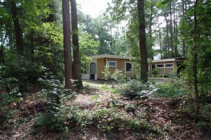 Leuke 4 persoons bungalow op rustige locatie in het bos in Drenthe