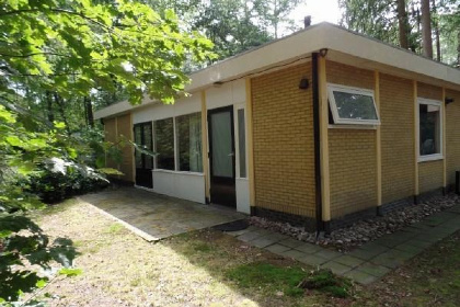 008 Leuke 4 persoons bungalow op rustige locatie in het bos in Drenthe