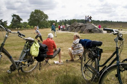 026 Leuke 4 persoons bungalow op rustige locatie in het bos in Drenthe