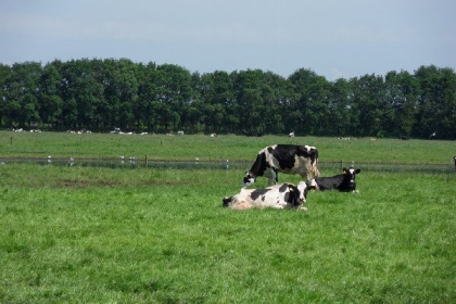 018 Comfortabel vakantieboerderij met sauna voor 15 tot 17 personen