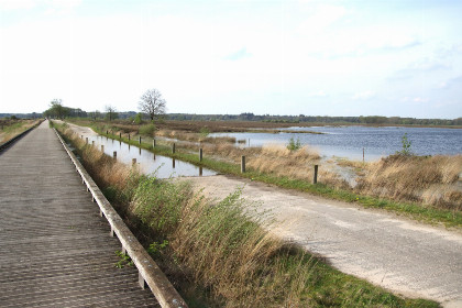 022 Groepsaccommodatie met sauna voor 8 personen, zeer landelijk gelegen in Drijber, Drenthe