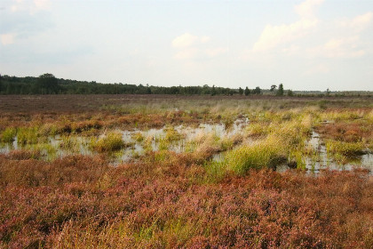 033 Groepsaccommodatie met sauna voor 8 personen, zeer landelijk gelegen in Drijber, Drenthe