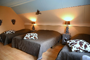 5 persoons themakamer 'Wild West'