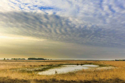 002 Authentiek Noors vakantiehuis voor 7 personen aan 't Nationaal Park Dwingelderveld