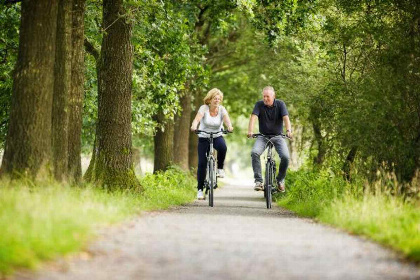 003 Comfortabel4/ 6 persoons vakantiehuis gelegen direct aan Nationaal Park 't Dwingelderveld