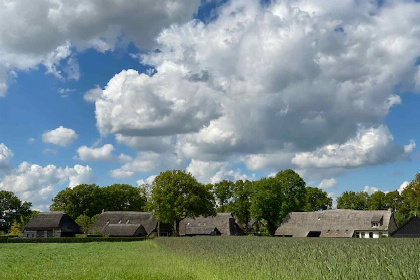 005 Comfortabel4/ 6 persoons vakantiehuis gelegen direct aan Nationaal Park 't Dwingelderveld