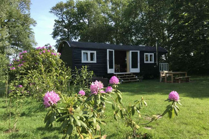 008 Gezellig chalet voor 2 personen nabij het bos in Dwingeloo, Drenthe