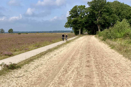 010 Gezellig chalet voor 2 personen nabij het bos in Dwingeloo, Drenthe