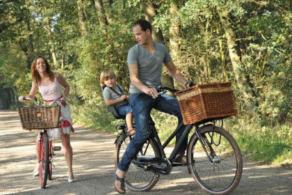 002 Houten vakantiehuis voor 6 personen aan Nationaal Park \'t Dwingelderveld