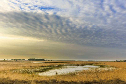 003 Houten vakantiehuis voor 6 personen aan Nationaal Park \'t Dwingelderveld