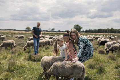 015 Houten vakantiehuis voor 6 personen aan Nationaal Park \'t Dwingelderveld