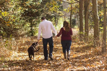 018 Houten vakantiehuis voor 6 personen aan Nationaal Park \'t Dwingelderveld