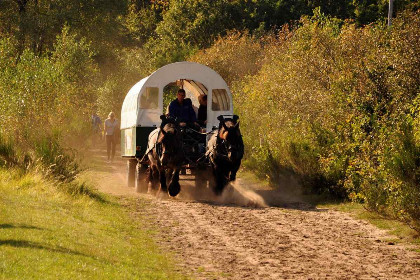 022 Houten vakantiehuis voor 6 personen aan Nationaal Park \'t Dwingelderveld