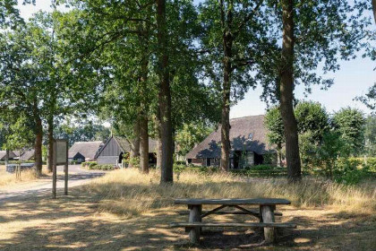 025 Houten vakantiehuis voor 6 personen aan Nationaal Park \'t Dwingelderveld