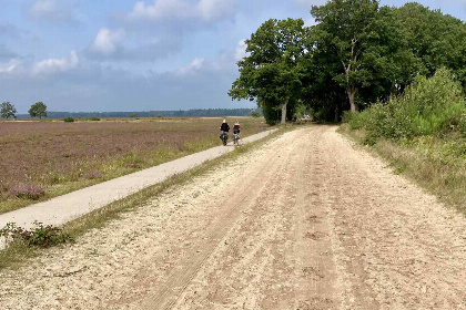 018 Karakteristiek 2 persoons vakantiehuis met pelletkachel in Dwingeloo, Drenthe