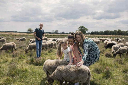 021 Luxe 8 persoons vakantiebungalow gelegen direct aan het Dwingelderveld