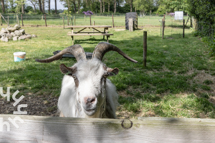 011 Prachtig 2 persoons appartement in Drenthe met gratis WiFi