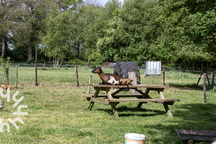 026 Prachtig 2 persoons appartement in Drenthe met gratis WiFi