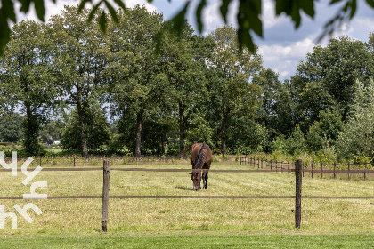 029 Zeer luxe, ruim en authentiek 6 persoons vakantiehuis met grote tuin in Dwingeloo