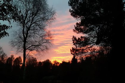 024 HasseBassie