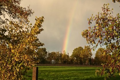 028 HasseBassie