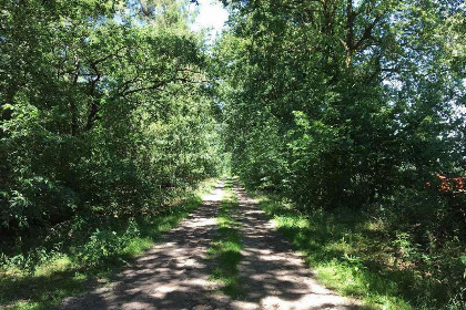 003 Landelijk gelegen 6 persoons particulier vakantiehuis in Drenthe