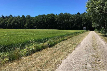 008 Landelijk gelegen 6 persoons particulier vakantiehuis in Drenthe