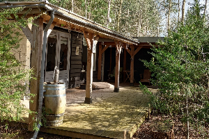 Rustig gelegen 3 persoons vakantiehuis in de bosrijke omgeving van Eeserveen, Drenthe