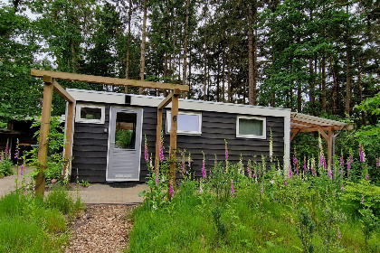 006 Rustig gelegen 3 persoons vakantiehuis in de bosrijke omgeving van Eeserveen, Drenthe