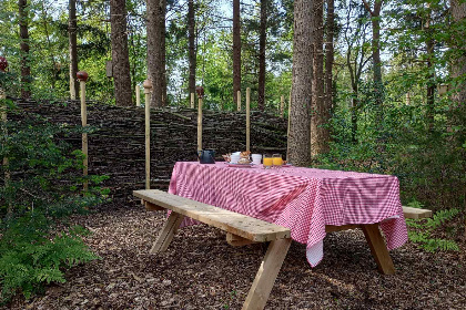 010 Rustig gelegen 3 persoons vakantiehuis in de bosrijke omgeving van Eeserveen, Drenthe