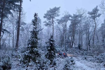 017 Rustig gelegen 3 persoons vakantiehuis in de bosrijke omgeving van Eeserveen, Drenthe