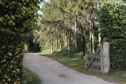 004 Romantisch 2 persoons vakantiehuis met bubbelbad, sauna en grote tuin in Erica, Drenthe