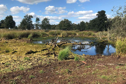 007 Romantisch 2 persoons vakantiehuis met bubbelbad, sauna en grote tuin in Erica, Drenthe