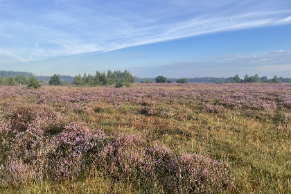 008 Mooi 2 persoons particulier vakantiehuis in Exloo   Drenthe