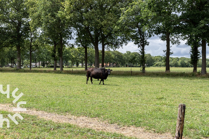 004 Heerlijk gelegen 4 persoons boerderijappartement nabij Frederiksoord | Drenthe