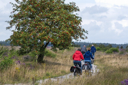 031 4 persoons bungalow met werkplek op vakantiepark de Kremmer in Gasselte