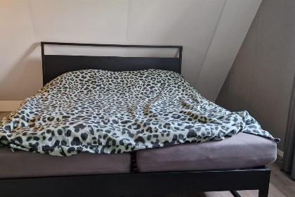 007 4 persoons vakantiehuis op een vakantiepark in Gasselte