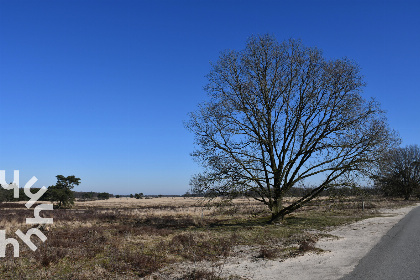 001 Prachtige 5 pers. chalet met natuurgebied op loopafstand, op kleinschalig park in Havelte