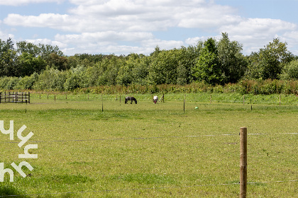 029 Prachtige 5 pers. chalet met natuurgebied op loopafstand, op kleinschalig park in Havelte