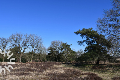 031 Prachtige 5 pers. chalet met natuurgebied op loopafstand, op kleinschalig park in Havelte