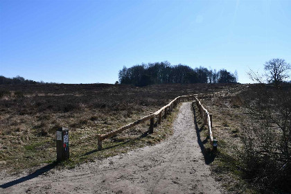 004 Prachtige 6 persoons vakantievilla met grote tuin aan de zwemvijver in Havelte, Drenthe