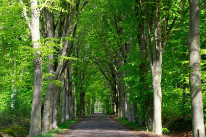 026 Prachtige 6 persoons vakantievilla met grote tuin aan de zwemvijver in Havelte, Drenthe