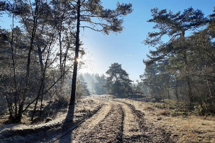 037 Prachtige 6 persoons vakantievilla met grote tuin aan de zwemvijver in Havelte, Drenthe