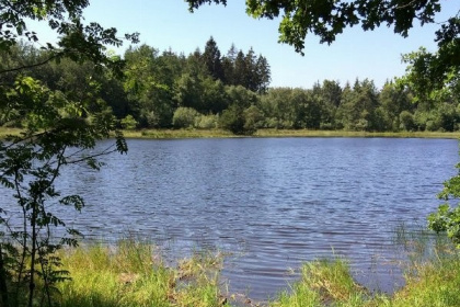 013 Knus Finse bungalow voor 4 personen in Drenthe