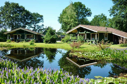 009 Knus Finse bungalow voor 6 personen in Hoogersmilde, Drenthe