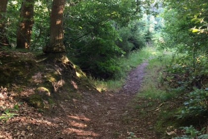 019 Prachtige 8 persoons Amerikaanse Loghome in Drenthe