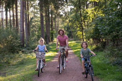 035 Rolstoeltoegankelijk chalet voor 4 personen in Hoogersmilde